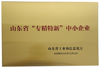 专精特新.jpg