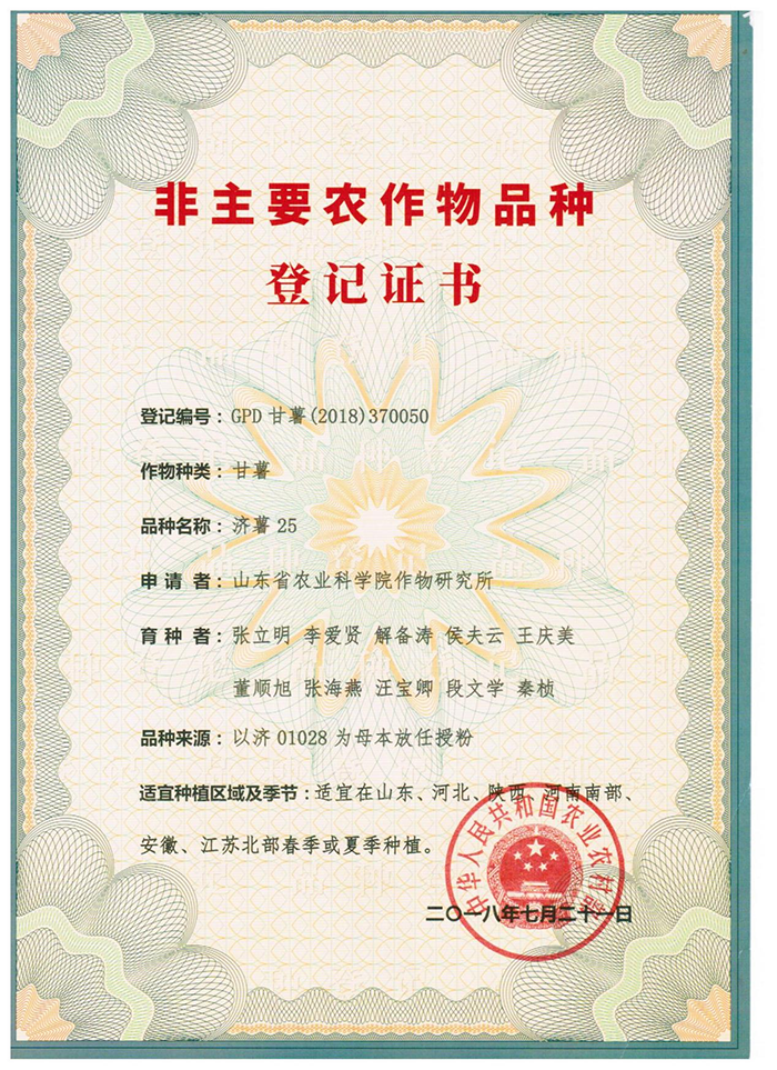 图片2.png